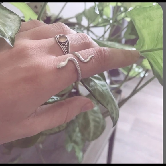 Silver Snake Ring - Picture 3 of 3